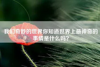 我们奇妙的世界你知道世界上最神奇的事情是什么吗？