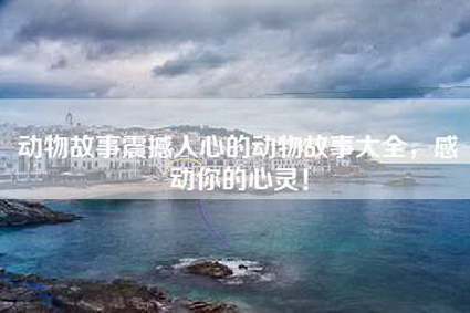 动物故事震撼人心的动物故事大全,感动你的心灵!