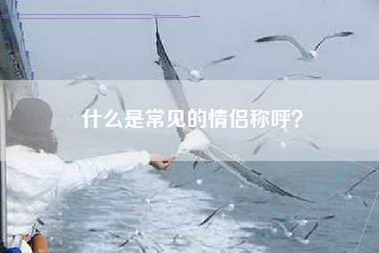 什么是常见的情侣称呼?