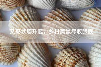 又见炊烟升起，乡村美景尽收眼底