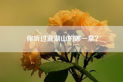 你听过鼎湖山的哪一泉？