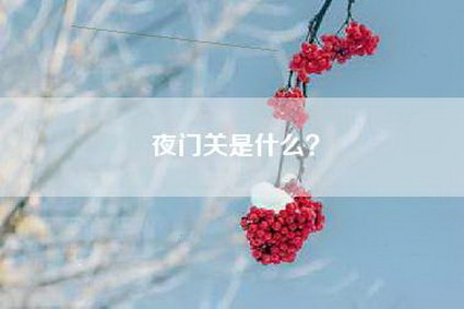 夜门关是什么？