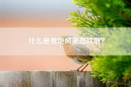 什么是卷地风来忽吹散？