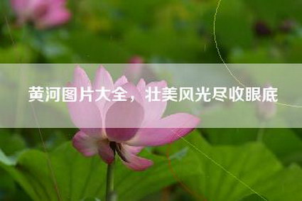 黄河图片大全，壮美风光尽收眼底