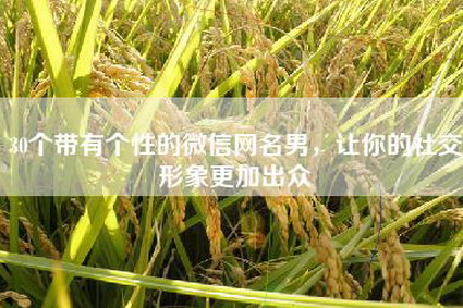 30个带有个性的微信网名男，让你的社交形象更加出众