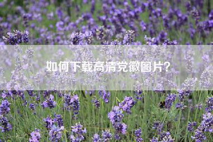 如何下载高清党徽图片？