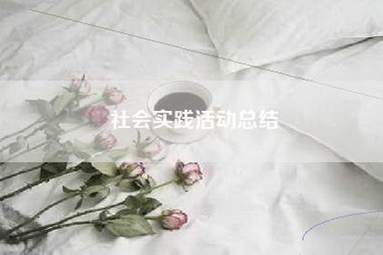社会实践活动总结