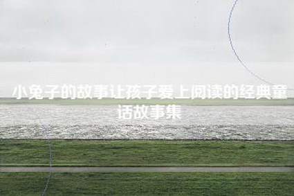 小兔子的故事让孩子爱上阅读的经典童话故事集