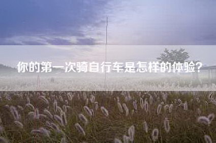 你的第一次骑自行车是怎样的体验？