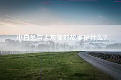 小白兔与大灰狼的故事是什么？