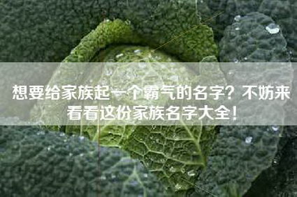 想要给家族起一个霸气的名字？不妨来看看这份家族名字大全！
