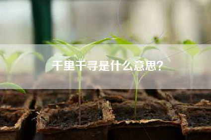 千里千寻是什么意思?