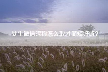 女生微信昵称怎么取才简短好听？