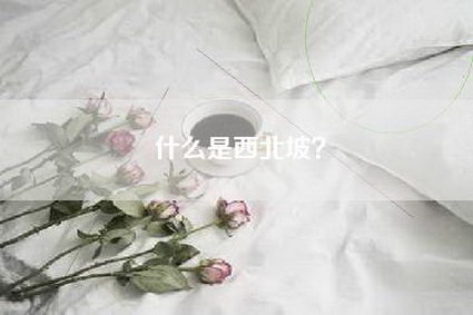 什么是西北坡?