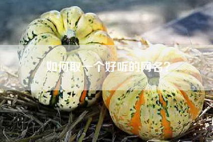 如何取一个好听的网名？