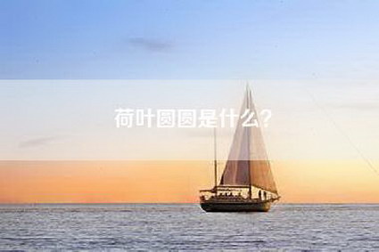 荷叶圆圆是什么?