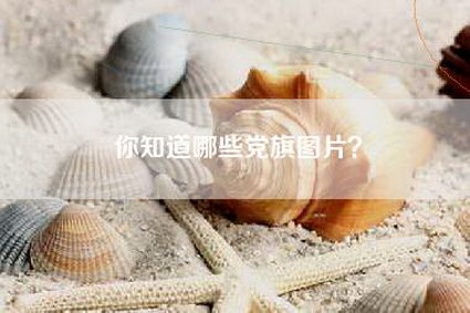你知道哪些党旗图片？