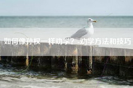 如何像孙权一样劝学?-劝学方法和技巧