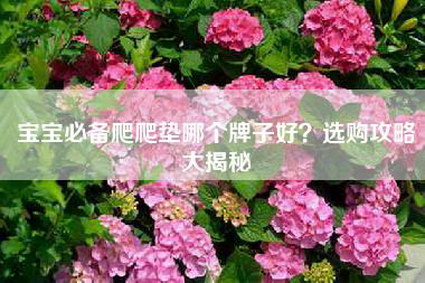 宝宝必备爬爬垫哪个牌子好？选购攻略大揭秘