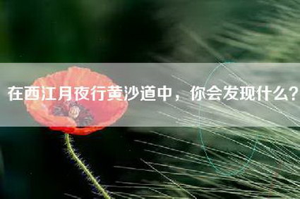 在西江月夜行黄沙道中,你会发现什么?
