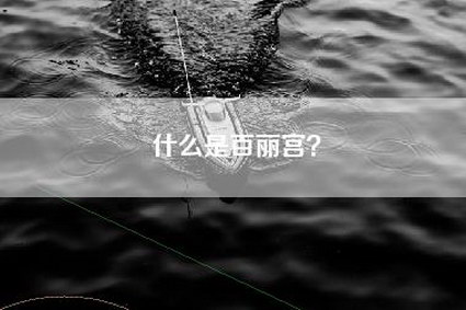 什么是百丽宫？