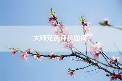 大师兄的评价如何？