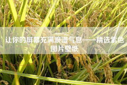 让你的屏幕充满浪漫气息——精选紫色图片壁纸