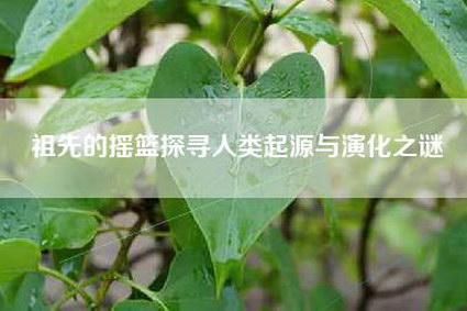 祖先的摇篮探寻人类起源与演化之谜