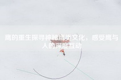 鹰的重生探寻神秘鹰类文化，感受鹰与人的深度互动