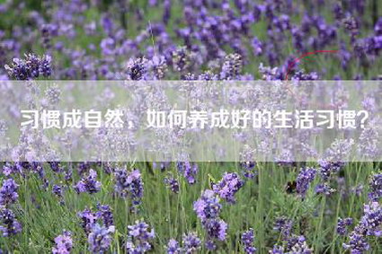 习惯成自然，如何养成好的生活习惯？