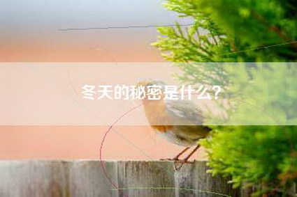 冬天的秘密是什么?