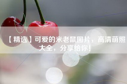 【精选】可爱的米老鼠图片，高清萌照大全，分享给你！