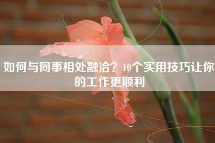 如何与同事相处融洽？10个实用技巧让你的工作更顺利