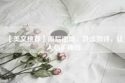 【美文推荐】雨后池塘，静谧如诗，让人心旷神怡