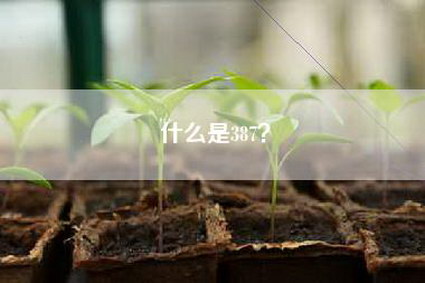什么是387?