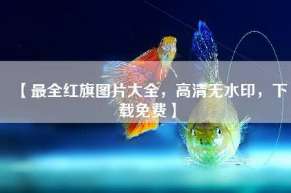 【最全红旗图片大全，高清无水印，下载免费】