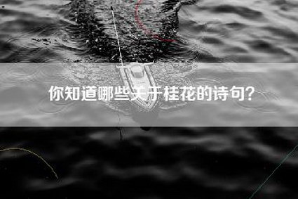 你知道哪些关于桂花的诗句？