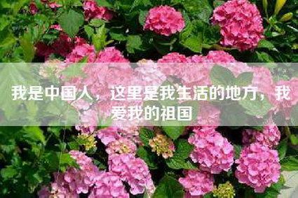 我是中国人，这里是我生活的地方，我爱我的祖国