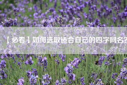 【必看】如何选取适合自己的四字网名？