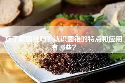 你了解圆锥吗？认识圆锥的特点和应用有哪些？