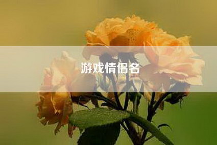 游戏情侣名