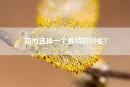 如何选择一个独特的网名？