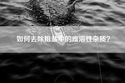 如何去除粗盐中的难溶性杂质？
