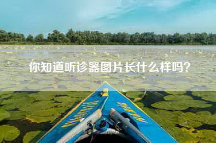 你知道听诊器图片长什么样吗？