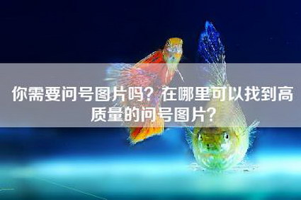 你需要问号图片吗？在哪里可以找到高质量的问号图片？