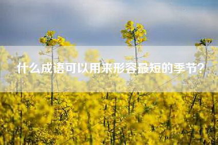 什么成语可以用来形容最短的季节？