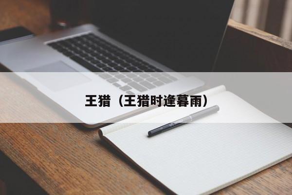 王猎（王猎时逢暮雨）
