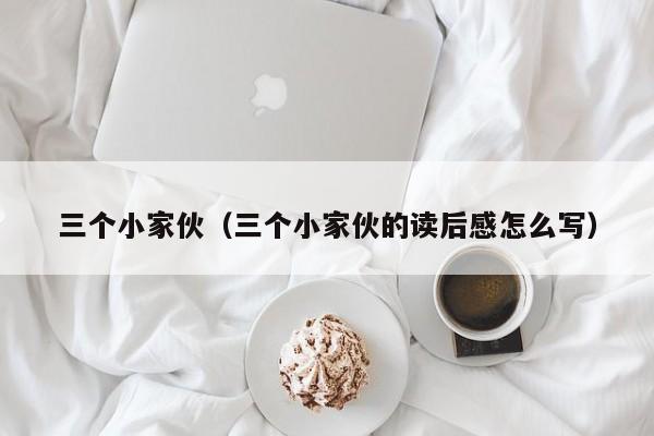三个小家伙（三个小家伙的读后感怎么写）