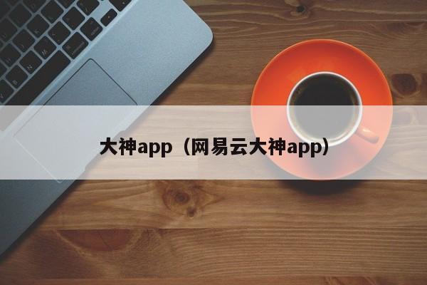 大神app（网易云大神app）