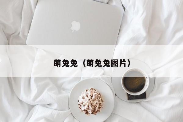 萌兔兔（萌兔兔图片）